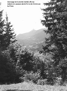 COLO JEUNE FRANCE La Pinea